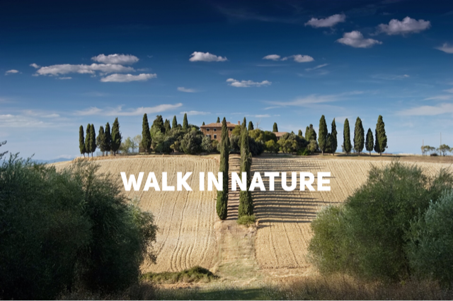 Take a walk on the wild side