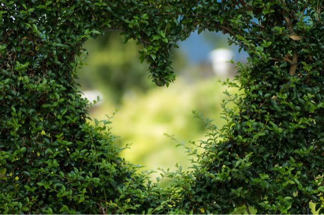 I allow Love to transform my relationships