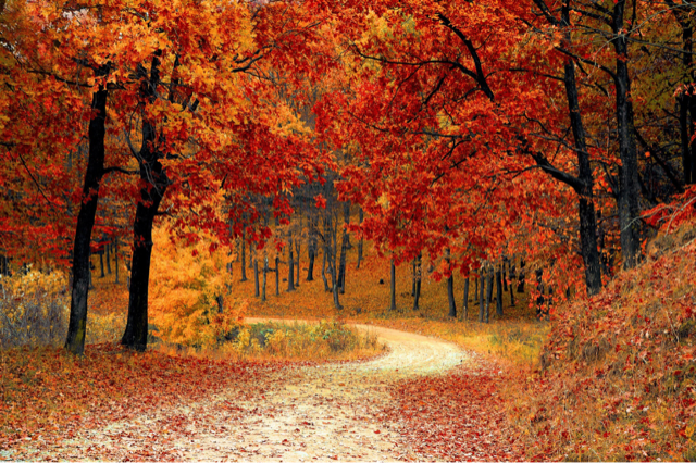 Autumn Fantasy – What Will Yours Be?