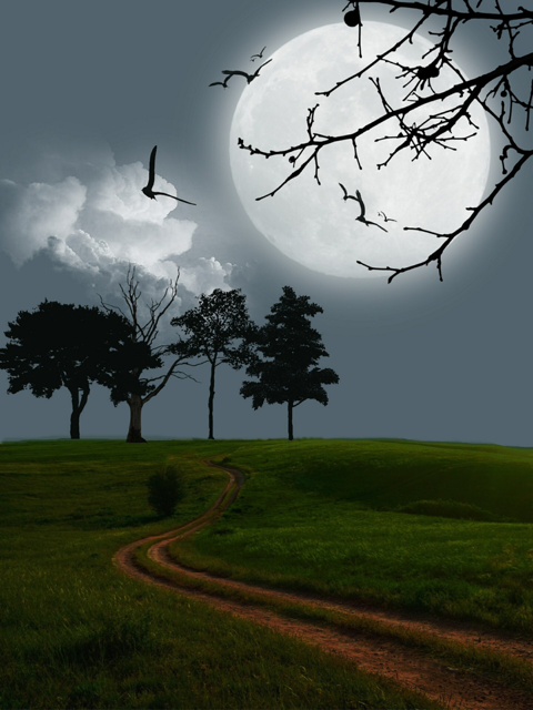 Are you dreaming your life, what would it be to live your dreams instead