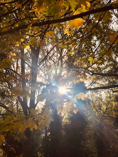 Top 7 Ways to Develop Greater Optimism for Your Future
