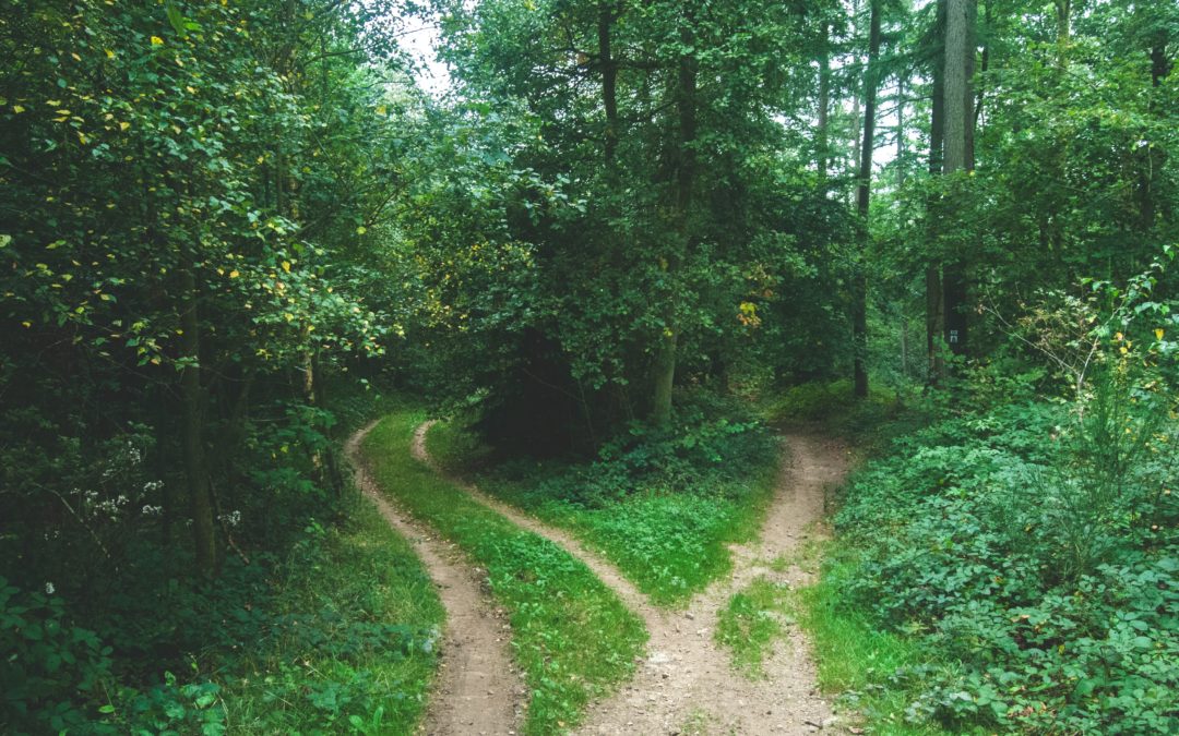 Your 4-step Guide On Making Hard Decisions