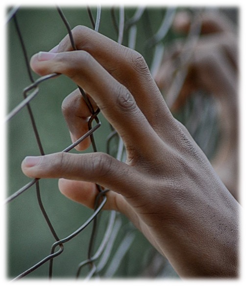 fence